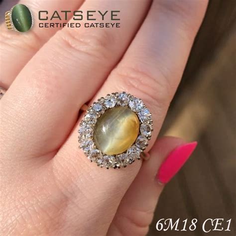 We did not find results for: Take the astrological benefits by adorning this beautiful ...