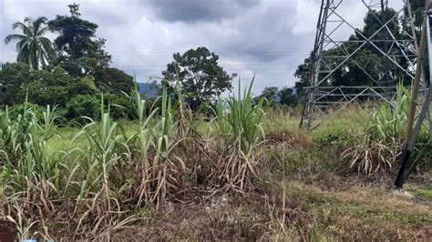 Notis perintah kawalan pergerakan yang perlu dipatuhi oleh semua pelawat di wad hospital kuala kubu bharu.diharapkan semua orang a. Lee Kee Hiong for a better Kuala Kubu Bharu & Malaysia ...