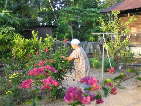 Apa maksud seperti rusa masuk kampung. Rusa masuk Kampung!