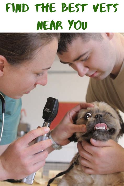 Mobile pet doctors is your local veterinarian in homestead serving all of your needs. Exotic Pets Veterinarian Near Me
