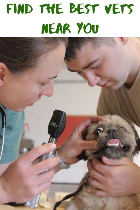 Avian & exotic animal clinic of az provides superior medical care for your exotic pets, ranging anywhere from birds to reptiles, amphibians to mammals, fish to insects, and more! Exotic Pets Veterinarian Near Me