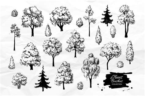 And it looks rather lovely as a pencil drawing. Sketch Set of Trees and Bushes. | Bocetos de árboles ...