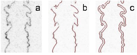 Student in the department of mathematics at the university of bremen. (a) A small portion of the image processed in Figure 13 ...