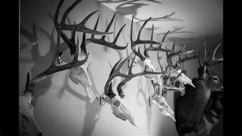 Diy low cost european deer skull mount | an easy cheap way to preserve your hunting trophy like. DIY European Mount Hangers - YouTube