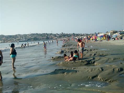 Paseo costanera playa grande (tongoy). Playa Grande (Tongoy) - Aktuelle 2021 - Lohnt es sich ...