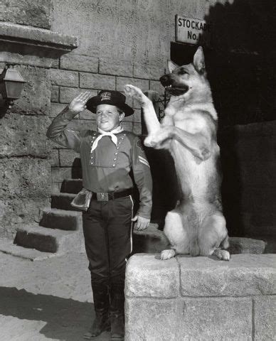 In this spotlight on entertainment segment, host john malos interviews celebrity guest lee aaker from the classic television show, rin tin tin. Por Onde Anda? Lee Aaker, o Cabo Rusty de Rin Tin Tin ...