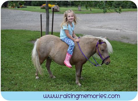 Перевод песни ride it — рейтинг: A Trip to the Farm and a Dream Come True!
