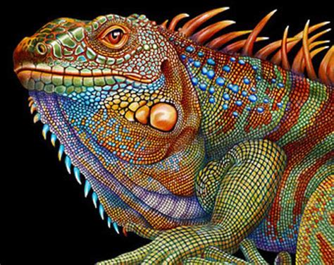 Actual size of the drawing is standard a0 size paper, 1189 × 841 mm, (about 46 × 33 inches). Panther Chameleon Colored Pencil Drawing в 2020 г ...