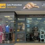 Maybe you would like to learn more about one of these? Cats Protection | Shop