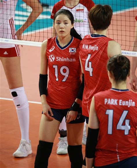 여자배구, 주전 세터 교체... 이효희·이나연 '긴급 차출' - 오마이 ...