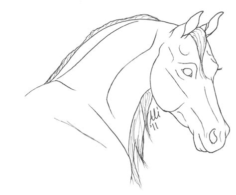 Here presented 50+ horse head drawing tutorial images for free to download, print or share. Arabian Horse Head Drawing Png & Free Arabian Horse Head Drawing.png Transparent Images #93647 ...