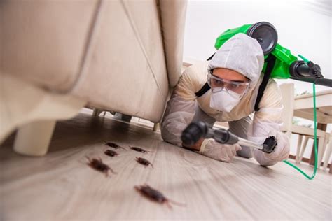 There is no better company to address your extermination needs. 5 Best Pest Control Companies in Charlotte - Top Pest ...