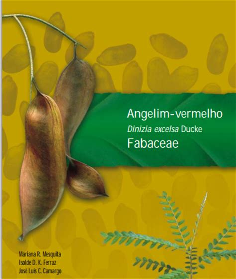 Siqueira wurde 2017 aus dem atlantischen regenwald brasiliens neu beschrieben, es sind nur zwei standorte bekannt. The Flowering plants - Leguminosae - Fabaceae: Fabaceae ...