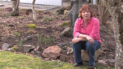 They don't really look like tiny thanks for contributing an answer to gardening & landscaping stack exchange! Garden Design & Care : Why Does Moss Grow in My Lawn ...