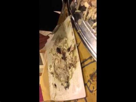 Il rombo può essere più come pulire i pesci piatti. Come pulire un rombo - YouTube