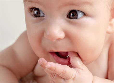 Penyebab si kecil lambat tumbuh gigi dan cara menstimulasi. Ini 10 Tanda Pertumbuhan Gigi Bayi Anda Terlambat, Coba Cek!