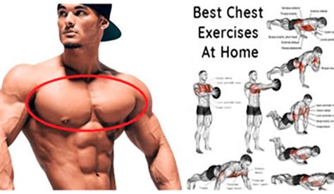 Maximus (largest)  location of the muscle example: Chest Workout At Home: The Best Exercises To Build Perfectly Shaped Chest ! - Bodydulding