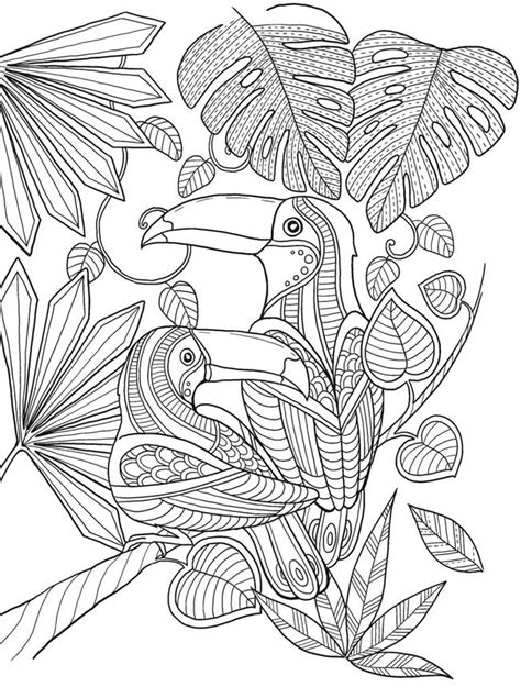 However there are some issues that i wanted to. Keep Calm and Color -- Birds of Paradise Coloring Book ...