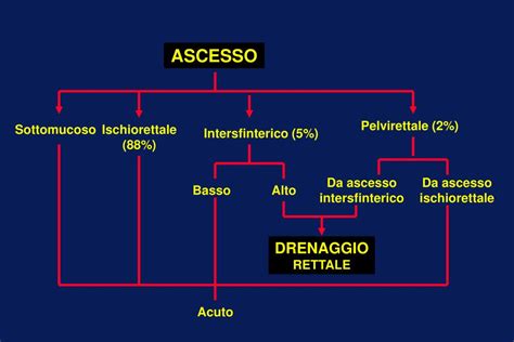 PPT - DOLORE ANALE E PERIANALE TUMEFAZIONE PERIANALE ...