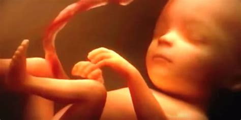 How does baby gain weight in the womb. This Mesmerizing Viral Video Shows A Baby Grow Inside The ...