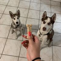 Nov 28, 2017 · fda warning: Milk Bone Original Biscuits - Medium Reviews 2019