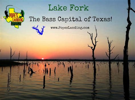 Bass fishing texas, lake fork texas, lake fork guide. Fish Lake Fork, the bass capital of Texas! www ...