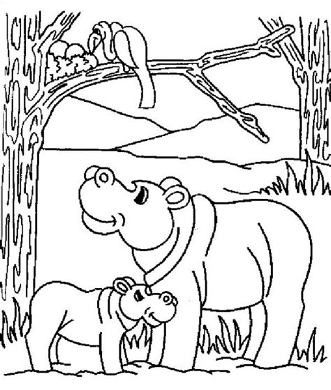 * boop * fiona, the hippo star of the cincinnati zoo, affectionately crashes into her mother bibi for an underwater kiss. Pin by NetArt on Hippo Coloring Pages (With images ...