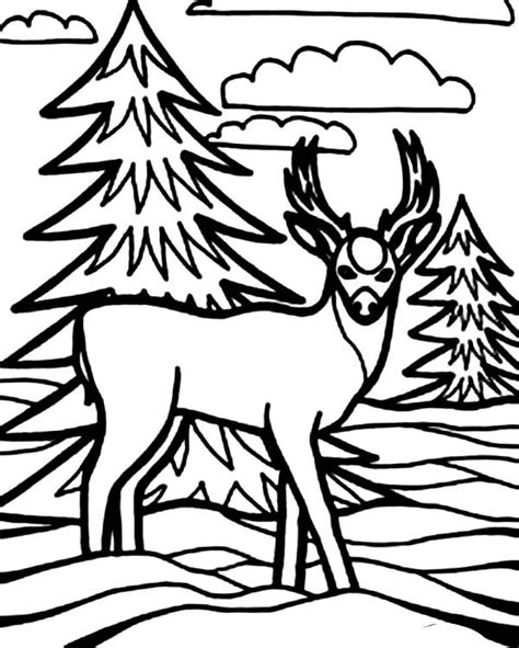 Kijk eens op inktweb.nl voor goedkope inktcartridges en papier! Kid Drawing Of Deer Coloring Page : Coloring Sun | Deer ...