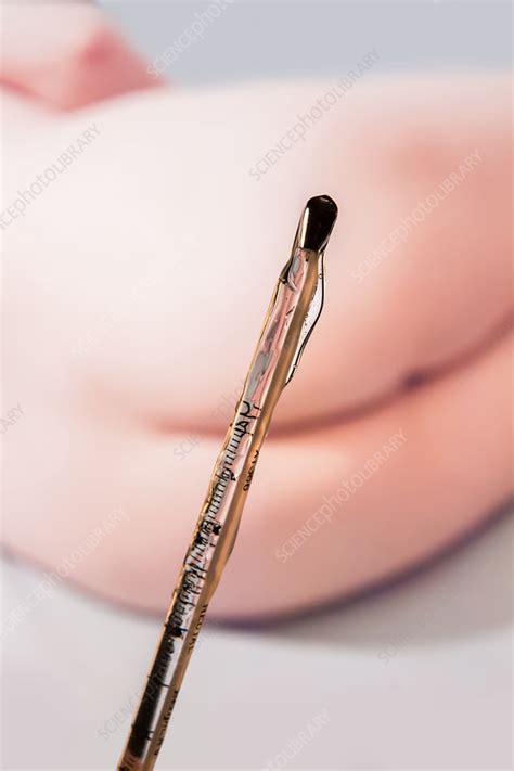 Search for similar fine art prints. Vintage Rectal Thermometer - Stock Image - C043/3819 ...