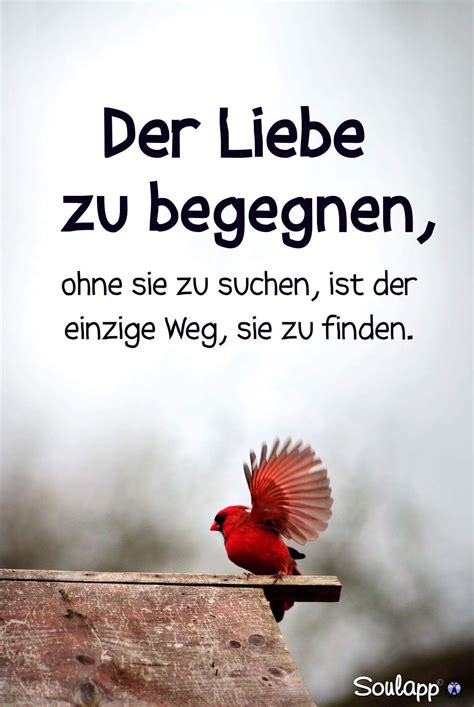 Ich vermisse dich brutal. Ily🐇 | Lebensweisheiten sprüche ...