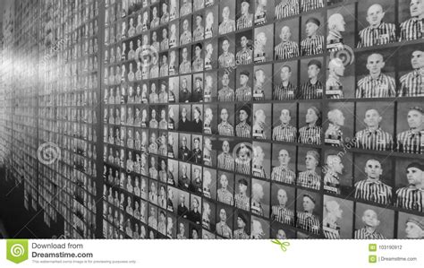 A porre all'attenzione al memoriale il disegno in cui l'unione europea era rappresentata come un campo di concentramento è stata la popolare pagina dopo l'assegnazione della scorta all'89enne sopravvissuta ad auschwitz, la pagina twitter del museo aveva condiviso la notizia della scorta. Museo Del Campo Di Concentramento Di Auschwitz - Parete ...