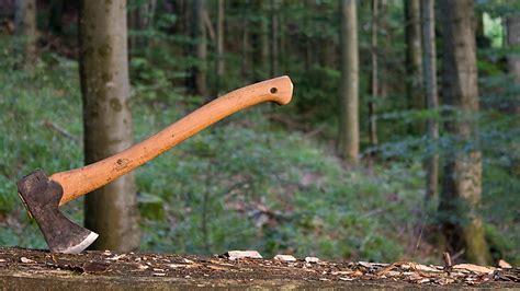 Schnittschutzschuhe & schnittschutzstiefel für mehr sicherheit bei der waldarbeit. Ausrüstung Axt: Gränsfors Bruks Forstaxt / Trekkingbeil