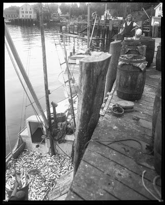 Demille's 1956 film the ten commandments. as brosseau developed, his style moved closer to realism. "Men Unload Fish From Boat Tied Up At Dock In Boothbay ...