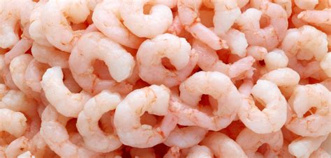 Cooked shrimp is a buff item similar to a bowl of soup. Cold Cooked Shrimp - Shrimp cook well in or out of their shells, but they are easier to devein ...