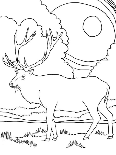 Color mountains coloring page yourself and with your kids. Elk Coloring Pages | Online coloring pages, Coloring pages ...