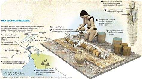 Las momias chinchorro datan aproximadamente del 5050 a. Momias Chinchorro/proceso | Burial rites, History, Mummy