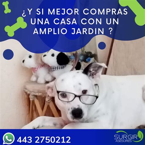 Julio 21, 2020agosto 21, 2020 by ¡entérate! Día mundial del Perro en 2020 | Día mundial del perro ...