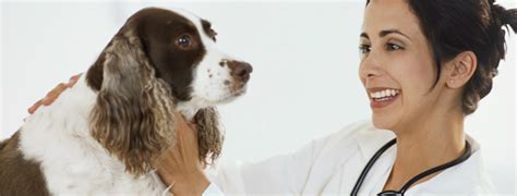 Maybe you would like to learn more about one of these? VETERINARY - LOVING CARE ANIMAL HOSPITAL