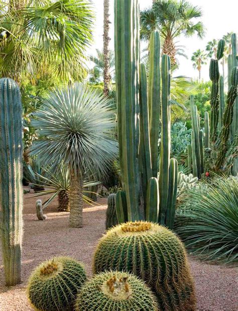 Access insider tips and hotel recommendations from our travel tastemakers. Jardin Majorelle | Great Gardens of the World