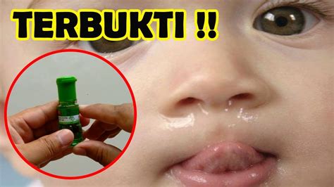 Daun sirih memiliki kemampuan untuk menghilangkan bakteri dalam tubuh. CARA CEPAT MENGOBATI BATUK PILEK PADA ANAK, RAMUAN INI ...