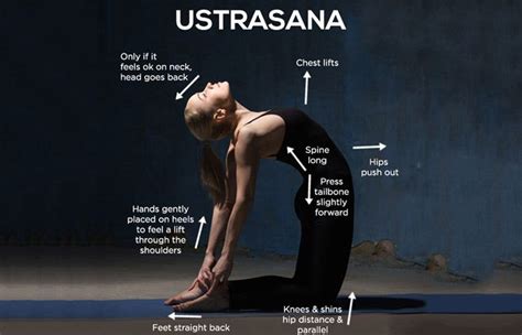 But camel is a more accessible pose for a lot of yoga students. How To Do The Ustrasana And What Are Its Benefits | Yoga ...