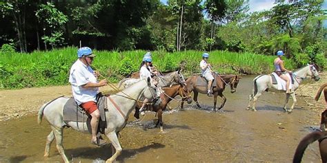 Trading should be as much mental as it is. Horseback Ride to Tocori Waterfalls Tour - Manuel Antonio ...