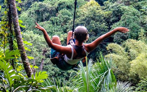 In einer flugreise in etwa 9 bis 10 stunden und etwa 7600 km je nach abflughafen erreichen sie die insel. Ich kann fliegen! Die Samana Zipline ist ein einmaliges ...