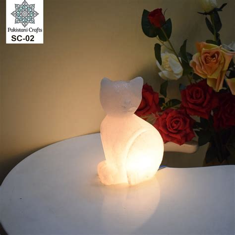 This is usually more common in dogs so this was a huge shock, and their first case they have seen with a cat. Salt Lamp Cat | Pakistani Crafts