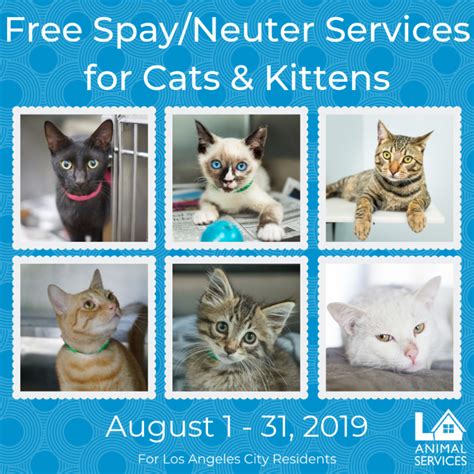 Foa certificates are not valid for a cat if the cat is to be declawed. LA Animal Services Giving Free Spay & Neuter Services ...