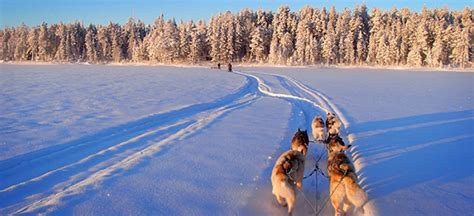 La finlande dans votre languefrançais. 8 raisons de visiter la Finlande - artetimages