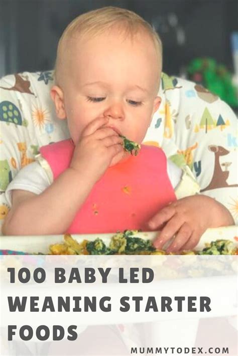 Whether you start your baby on purées or finger foods, your baby is going to gag. Pin on Baby Led Weaning Guide & Baby Led Weaning Recipes