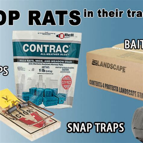 Solutions pest & lawn has affordable pest control products and comprehensive resources to • how diy pest control can be safe and simple. Do it yourself pest control - Pest Control Service in Columbus