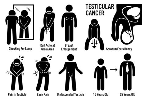 With pets living longer than ever, cancer has become a diagnosis that we see more commonly in older dogs. Testicular cancer warning signs L-lysine papilloma