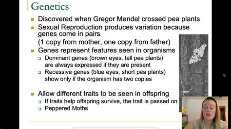 Why do you think there are 2 letters for each trait? Intro to Genetics and Punnett Squares - YouTube